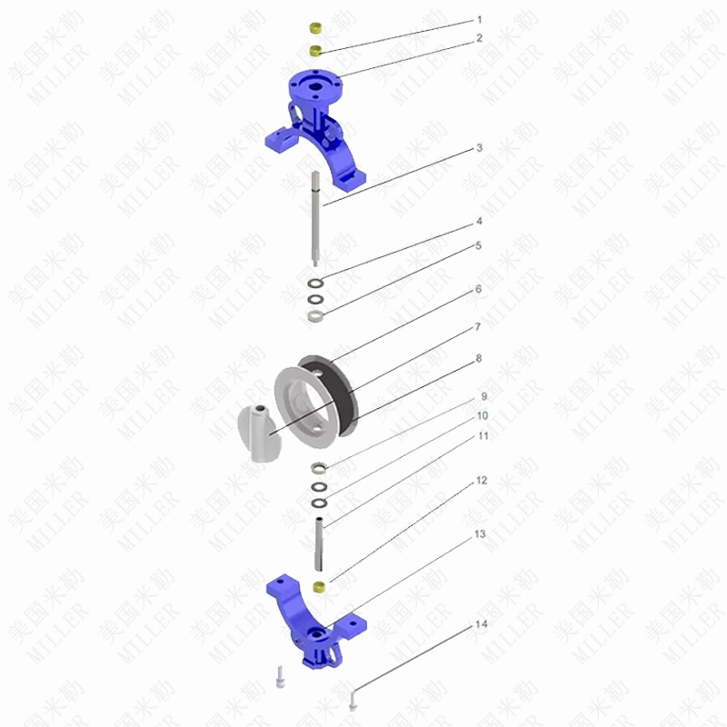 对夹衬氟蝶阀1.png