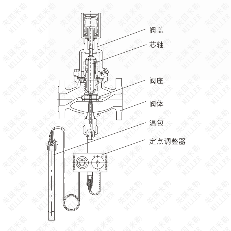 进口自力式温度控制阀结构图